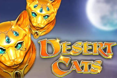 Desert Cats