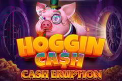 Cash Eruption Hoggin Cash Slot Insights