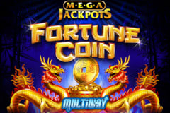 Detailed Look into Fortune Coin MegaJackpots Slot