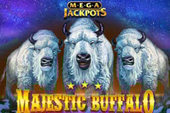 An in-depth look at the Majestic Buffalo MegaJackpots Slot.