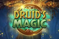 Druid’s Magic Slot Review