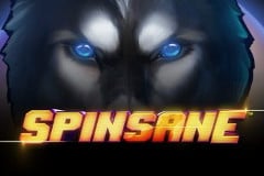 Spinsane Slot