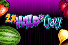 2x Wild & Crazy Slot